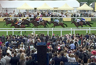 Ascot 5