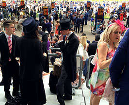 Ascot 7